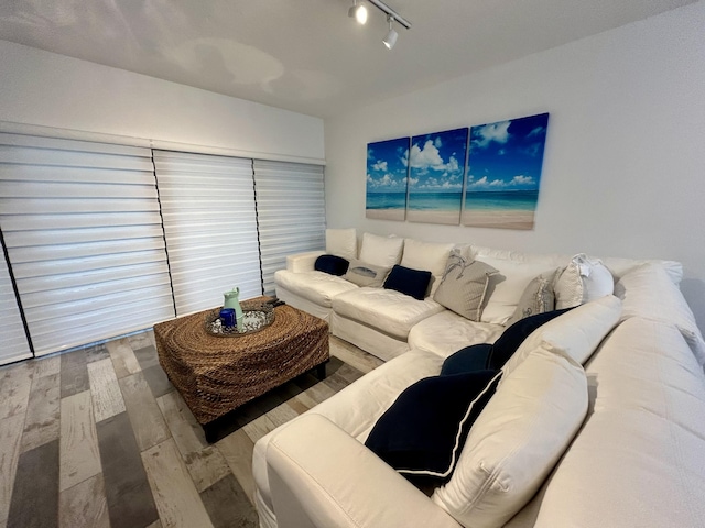 living room with wood-type flooring