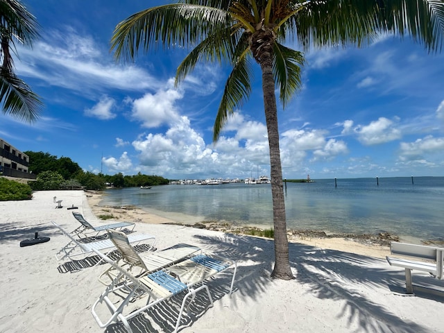 water view featuring a view of the beach