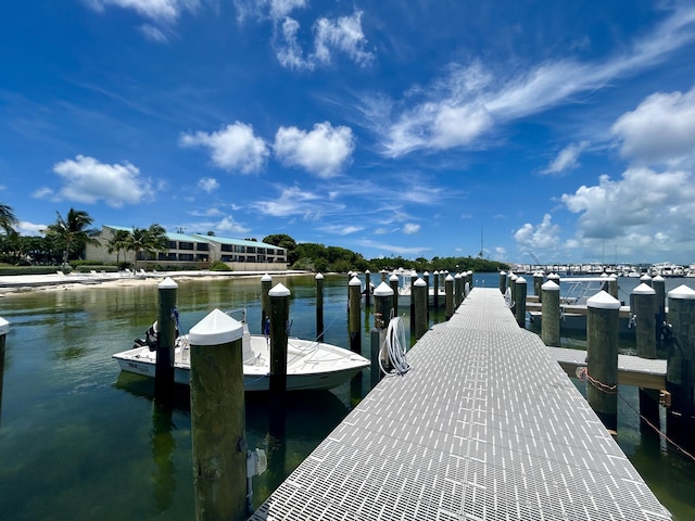 dock area with a water view