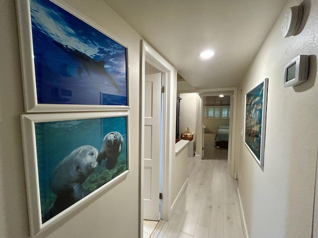 hall featuring light hardwood / wood-style floors