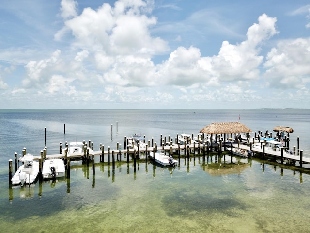 dock area with a water view