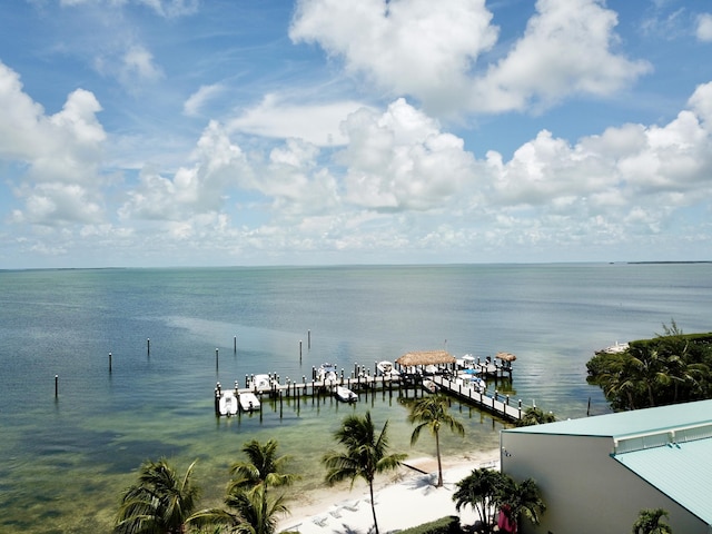 water view featuring a boat dock