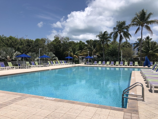 view of pool with a patio