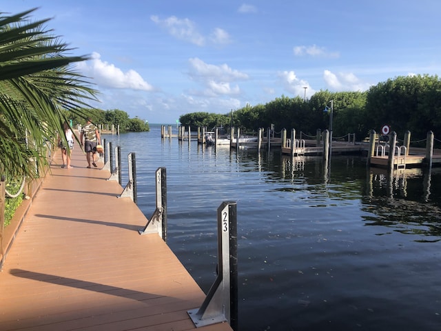 dock area with a water view