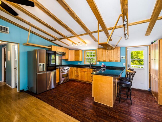 kitchen with appliances with stainless steel finishes, sink, and dark hardwood / wood-style floors