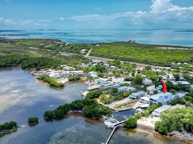16 Seaside Ave, Key Largo, FL 33037 - drone / aerial view of a large body of water