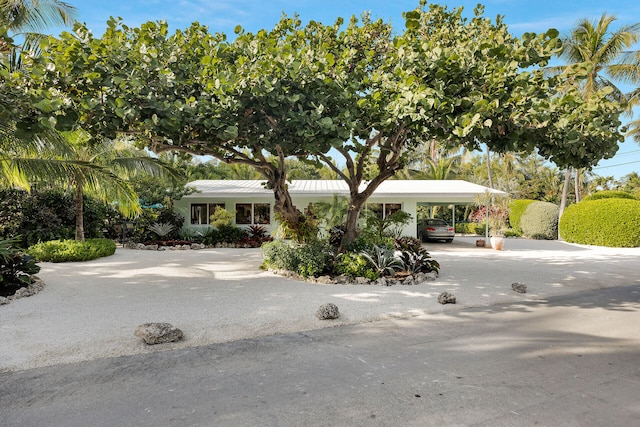 ranch-style home featuring a carport