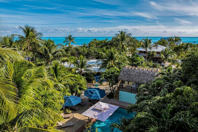 aerial view with a water view