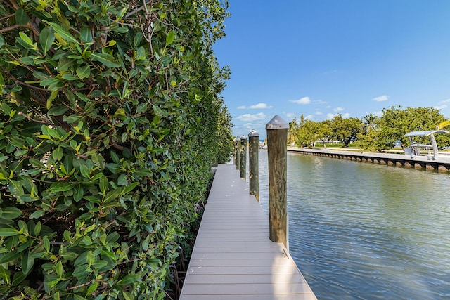 dock area with a water view