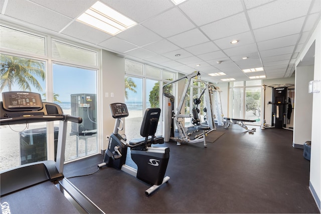 workout area with a paneled ceiling and expansive windows