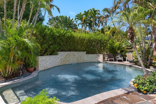 1610 Von Phister St, Key West, FL 33040 - view of swimming pool