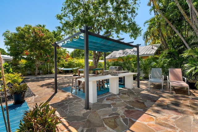 1610 Von Phister St, Key West, FL 33040 - view of patio with exterior kitchen and a pergola