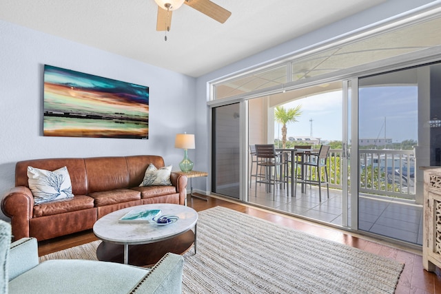 living room with ceiling fan and wood-type flooring