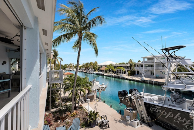 water view featuring a boat dock