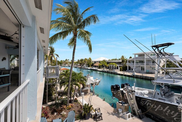 water view featuring a boat dock