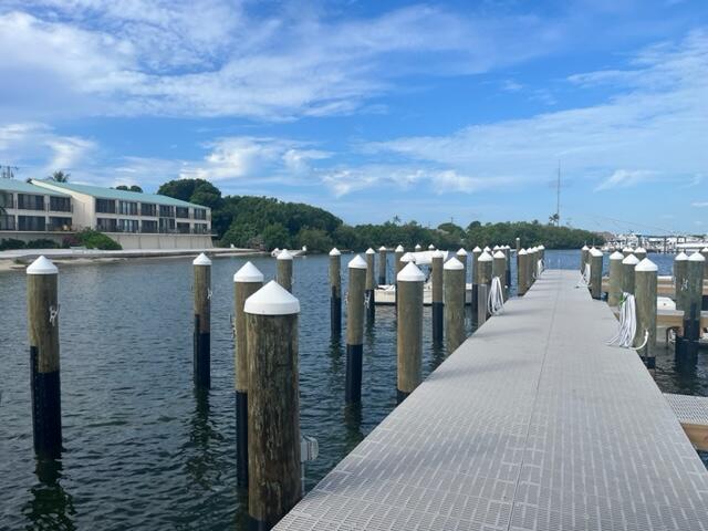 dock area with a water view