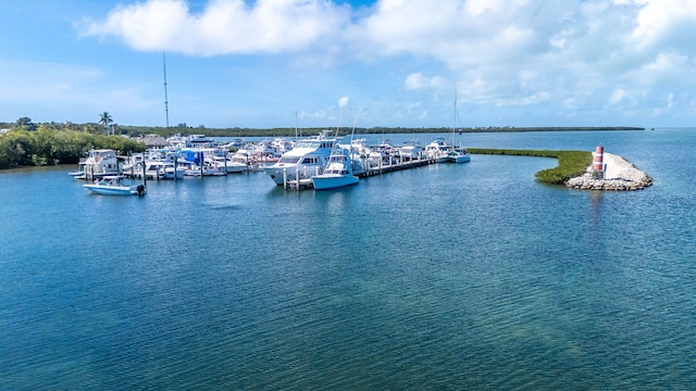 view of water feature with a dock