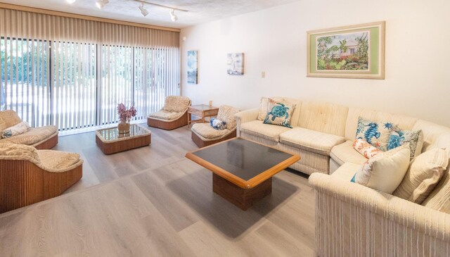 living room featuring wood-type flooring, a textured ceiling, and track lighting