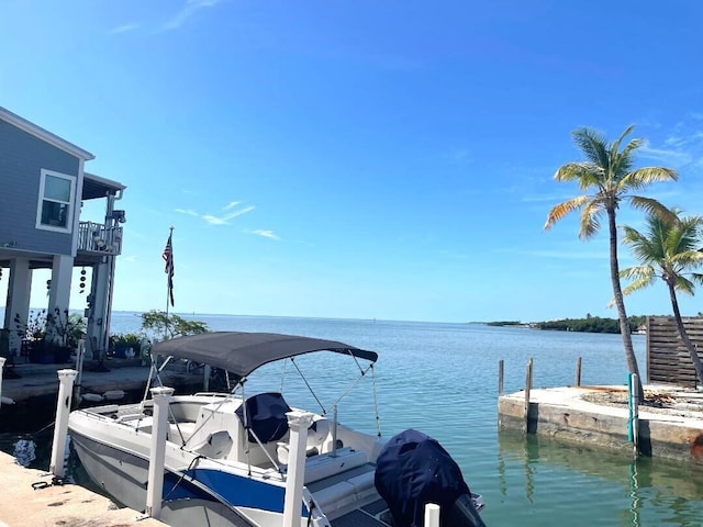 dock area with a water view