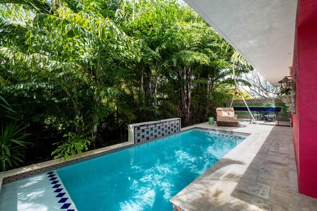 view of swimming pool with a patio area