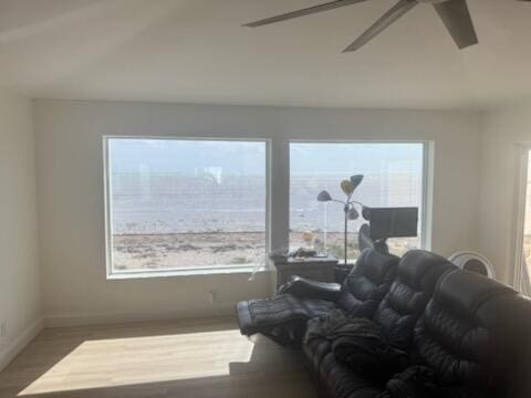 living room with hardwood / wood-style flooring and ceiling fan