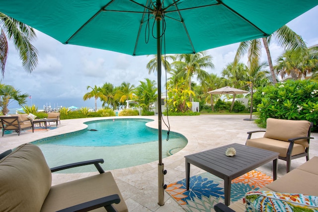 view of swimming pool with an outdoor living space and a patio area