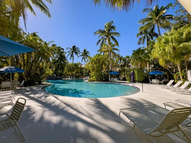 224 Golf Club Dr, Key West, FL 33040 - photo 34