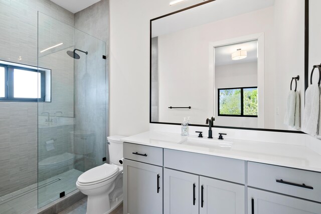 bathroom with vanity, toilet, and walk in shower