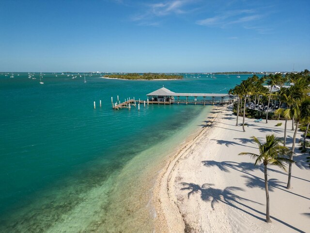 view of water feature featuring a view of the beach and a dock