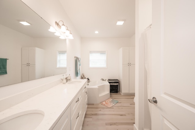 bathroom featuring a washtub, hardwood / wood-style floors, and vanity