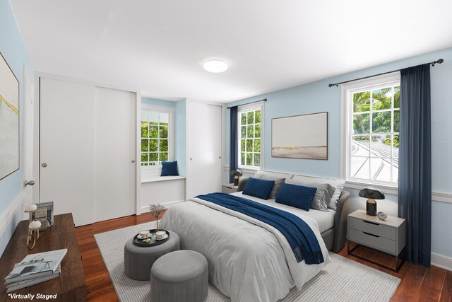 bedroom featuring dark hardwood / wood-style floors and a closet