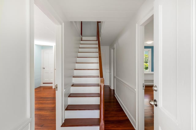 stairway with hardwood / wood-style flooring