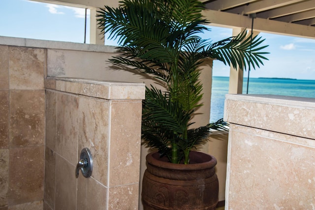 exterior details featuring a water view and a shower