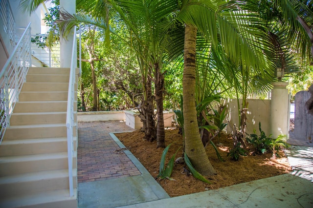 view of yard with a patio