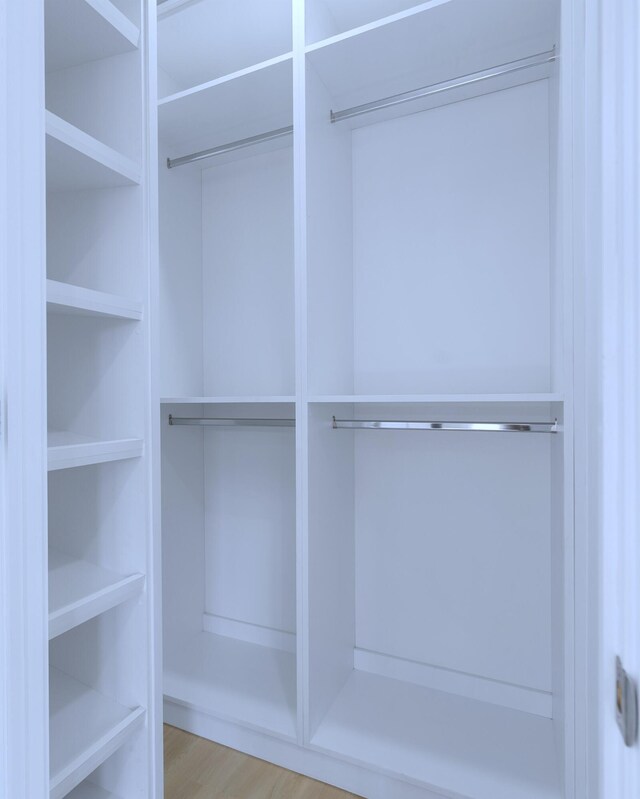 spacious closet featuring light wood-type flooring