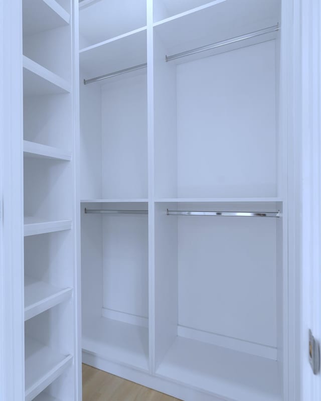 spacious closet with light wood-type flooring