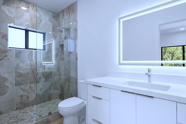 bathroom with toilet, a stall shower, and vanity