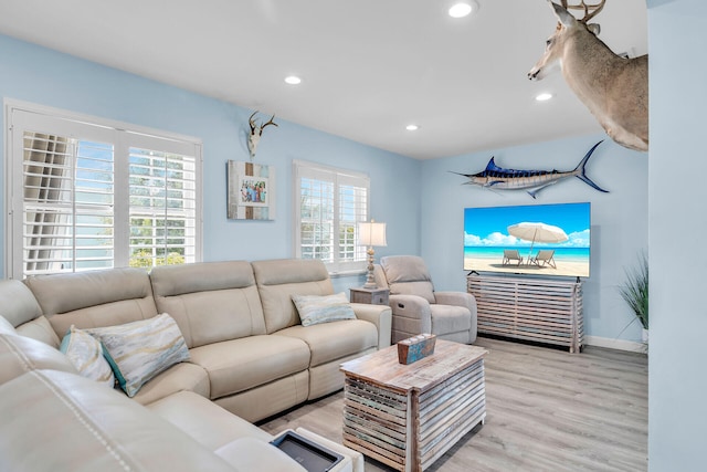 living room featuring light hardwood / wood-style floors