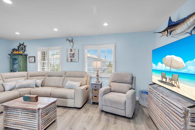 living room with a healthy amount of sunlight and light hardwood / wood-style flooring