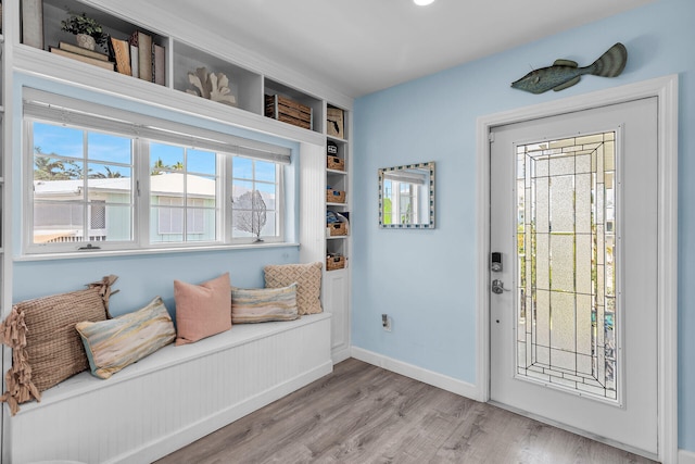 entrance foyer featuring light hardwood / wood-style flooring