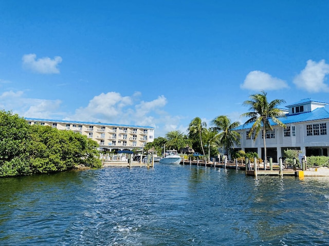 water view with a dock