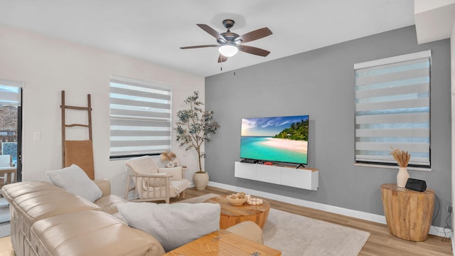 25109 SW 108th Ct, Homestead, FL 00000 - photo 9