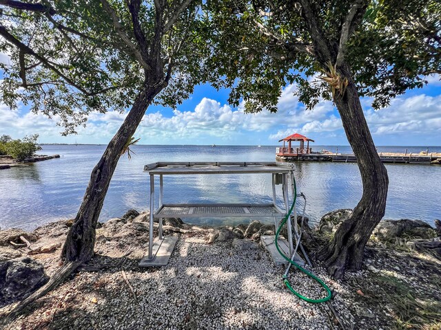 dock area featuring a water view