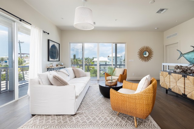 living room with wood-type flooring