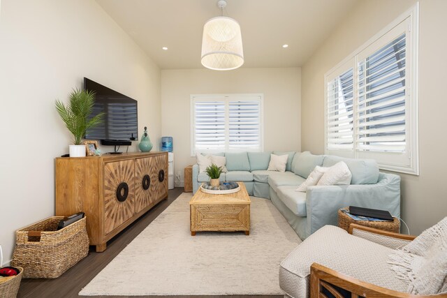 living room featuring dark wood-type flooring and a wealth of natural light