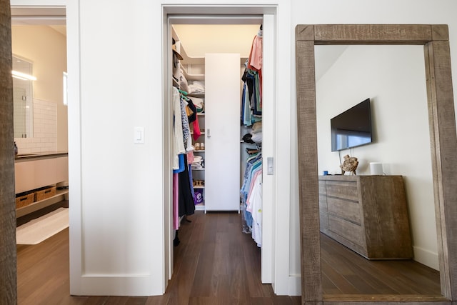 closet with sink