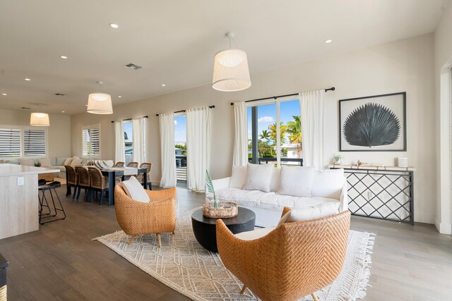 living room featuring hardwood / wood-style floors