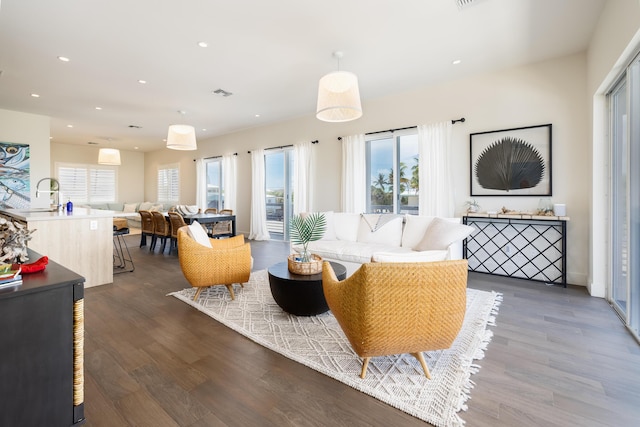 living room featuring dark hardwood / wood-style floors and sink