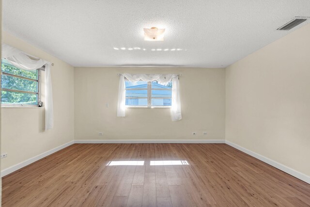 spare room with a wealth of natural light, light hardwood / wood-style floors, and a textured ceiling