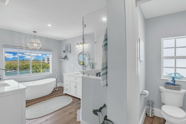 bathroom featuring a freestanding bath, wood finished floors, vanity, and a wealth of natural light